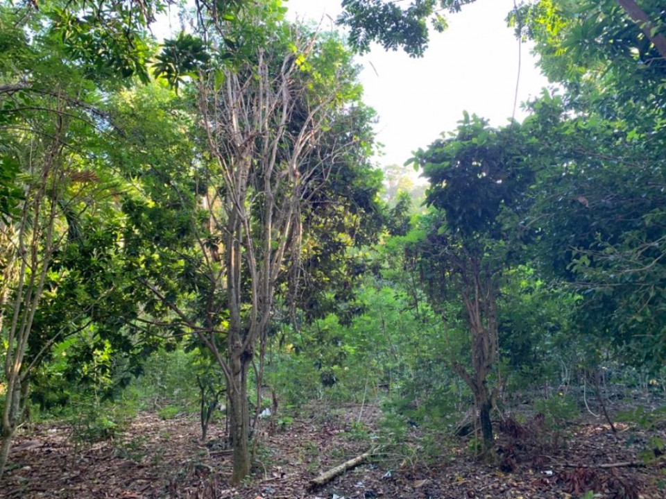 Property view 2