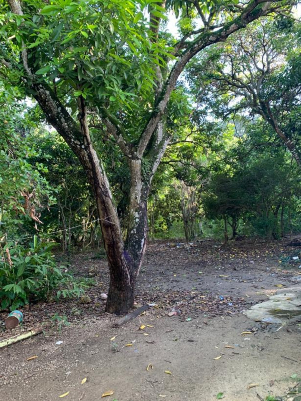 Property view 3