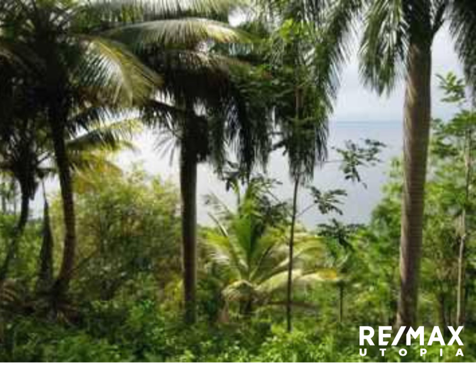 Property view 6