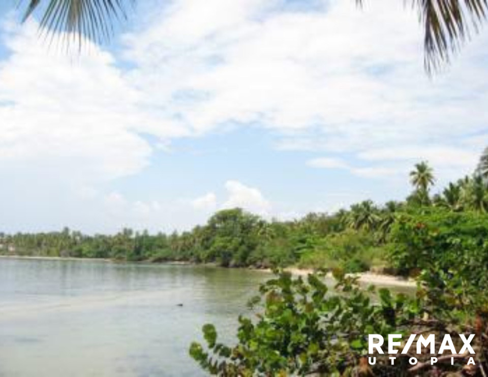 Property view 5