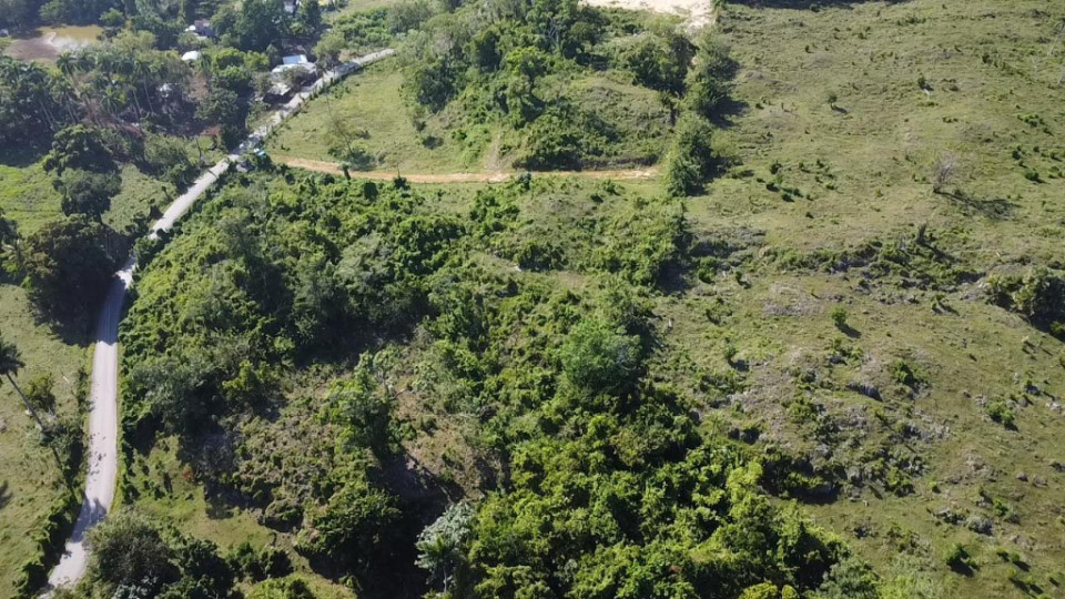 Property view 4