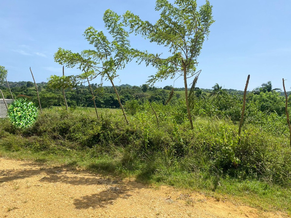 Property view 3