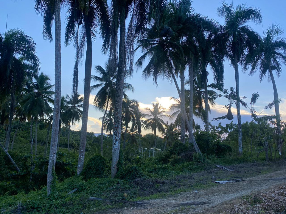 Property view 5
