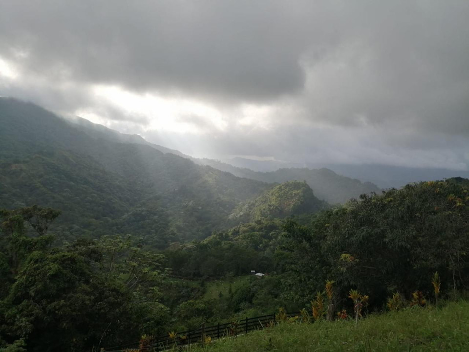 Property view 4