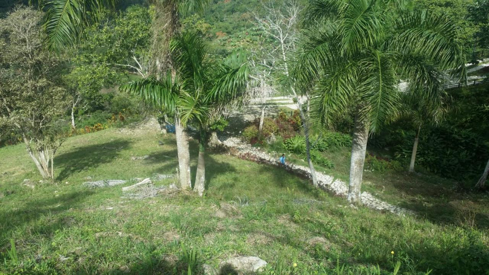 Property view 6