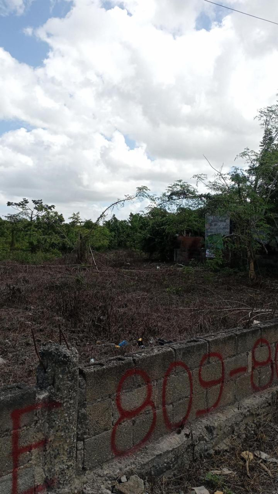 Property view 1