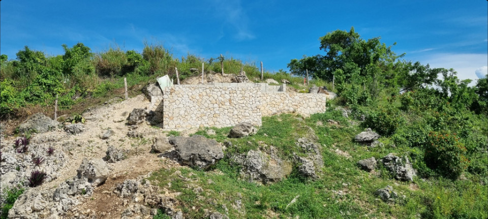 Property view 6