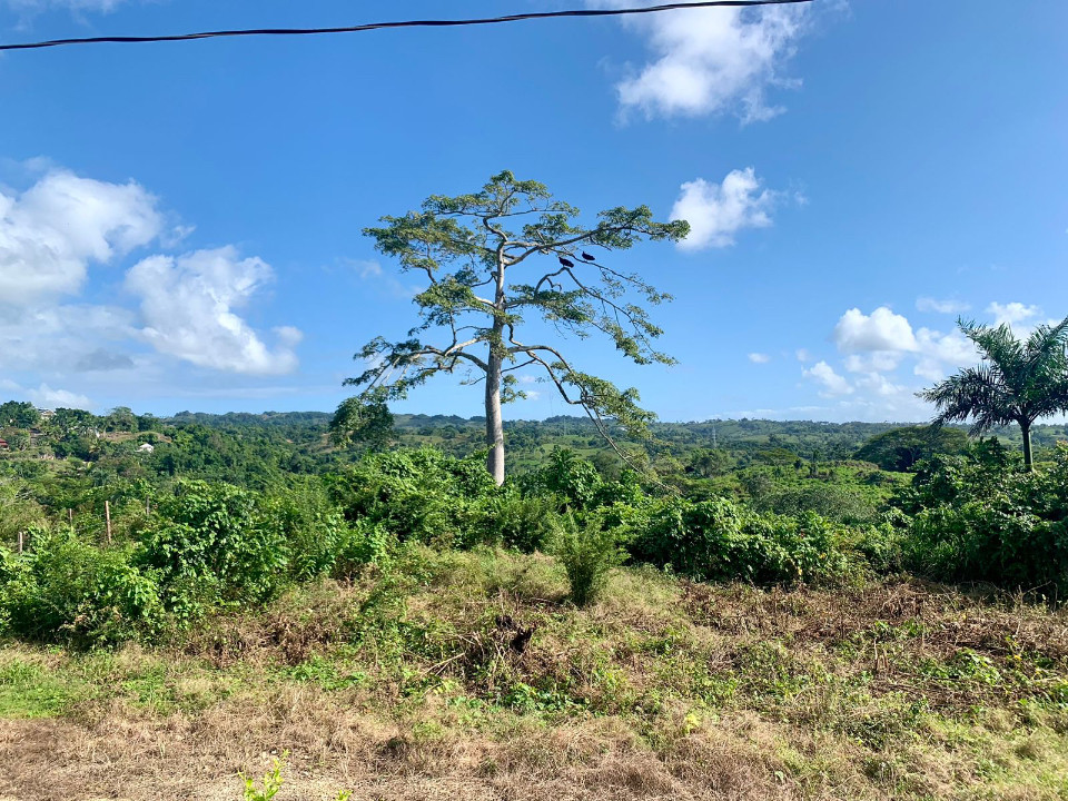 Property view 4
