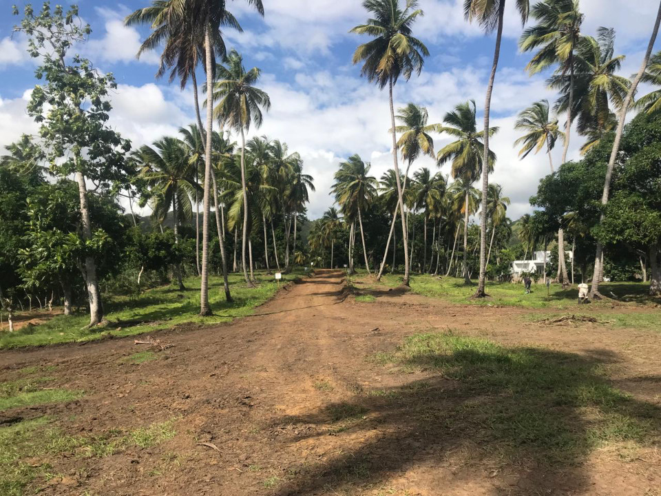 Property view 4