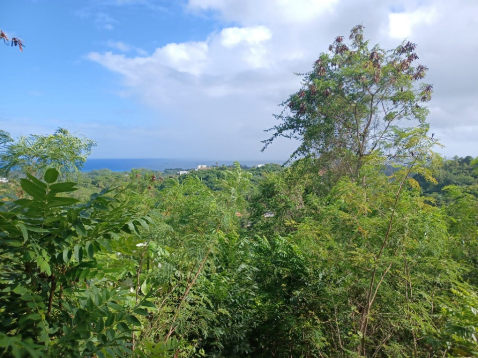 Property view 2