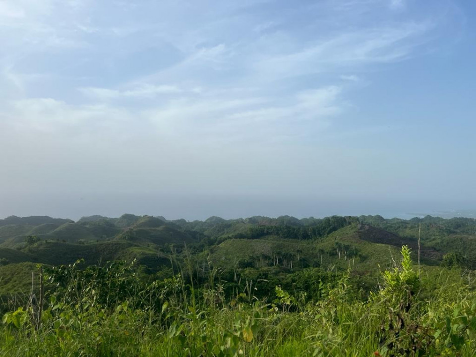 Property view 4