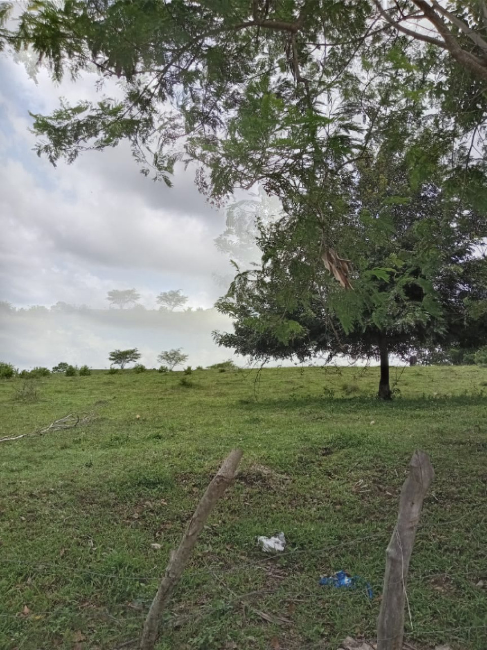 Property view 4