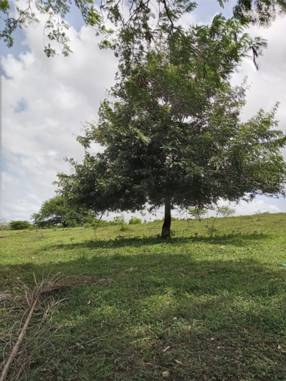 Property view 5
