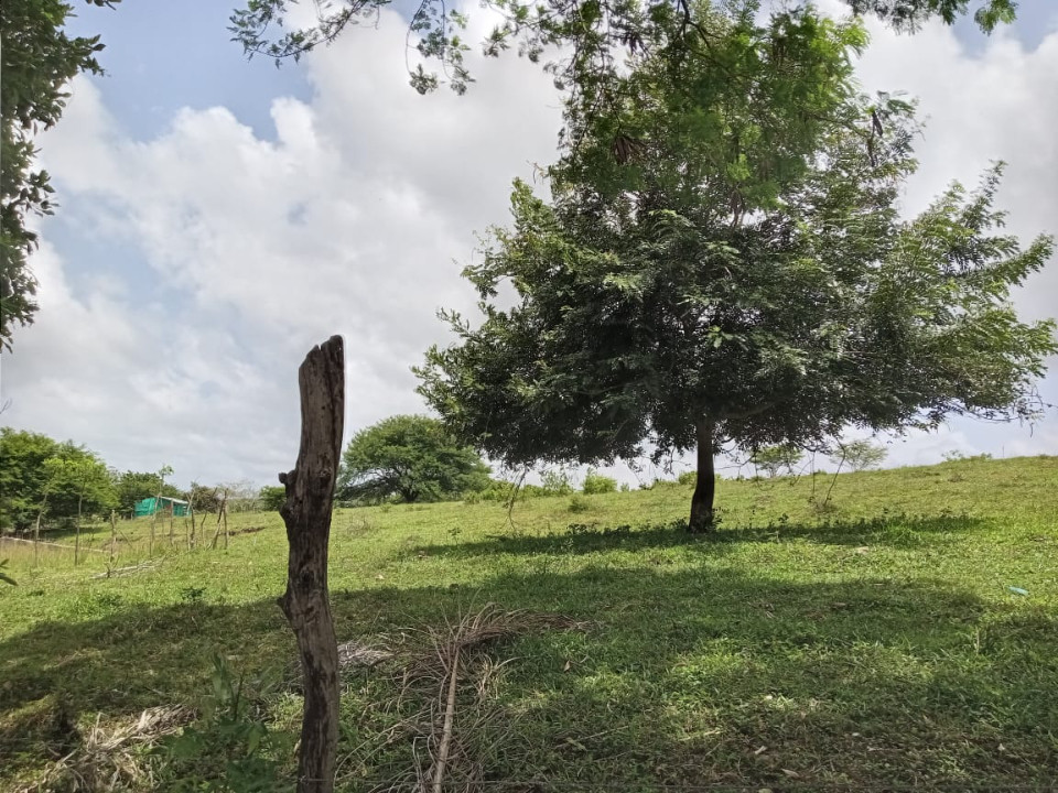 Property view 6