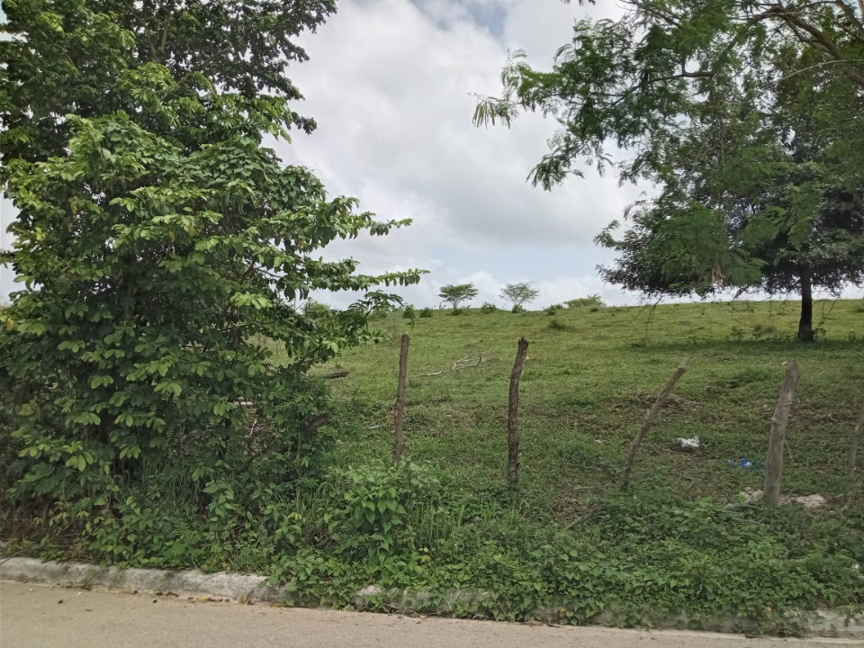 Property view 7