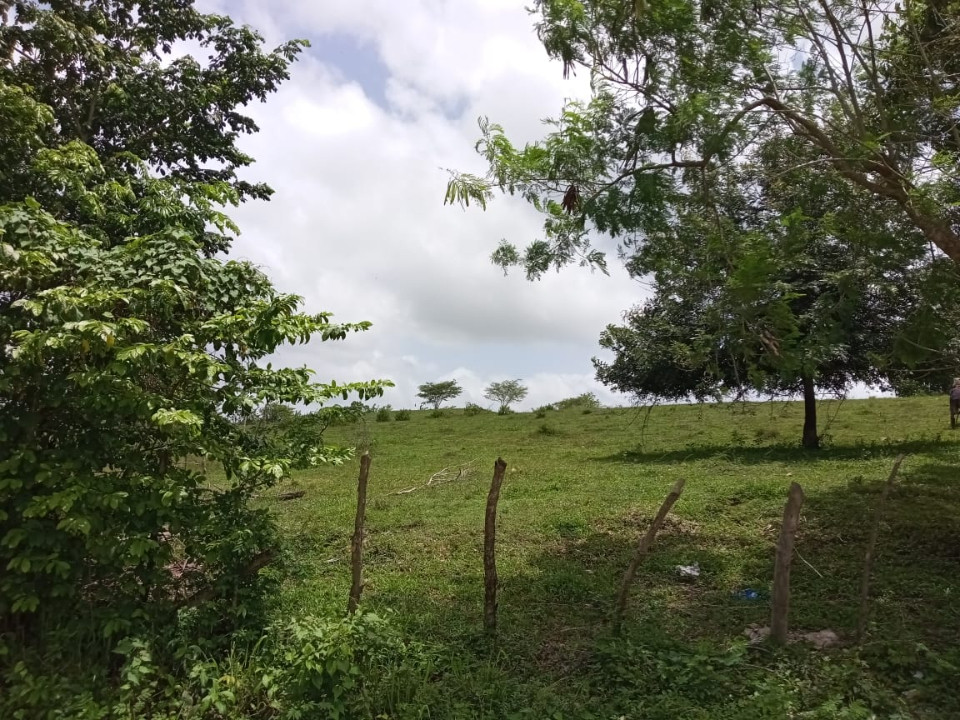 Property view 10