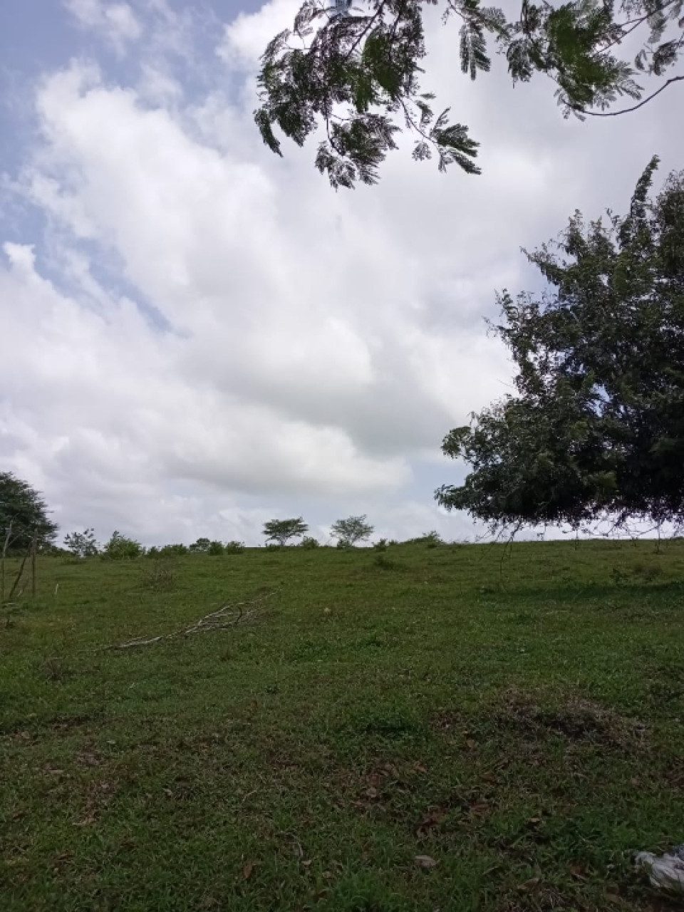 Property view 11