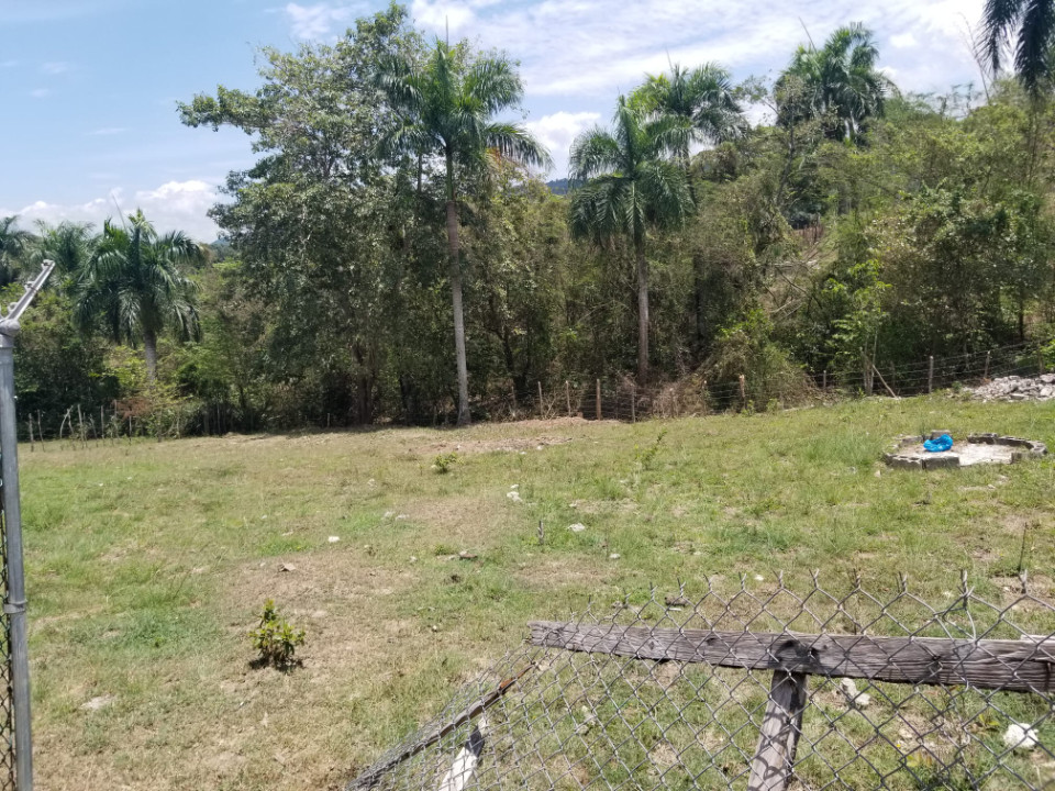 Property view 10