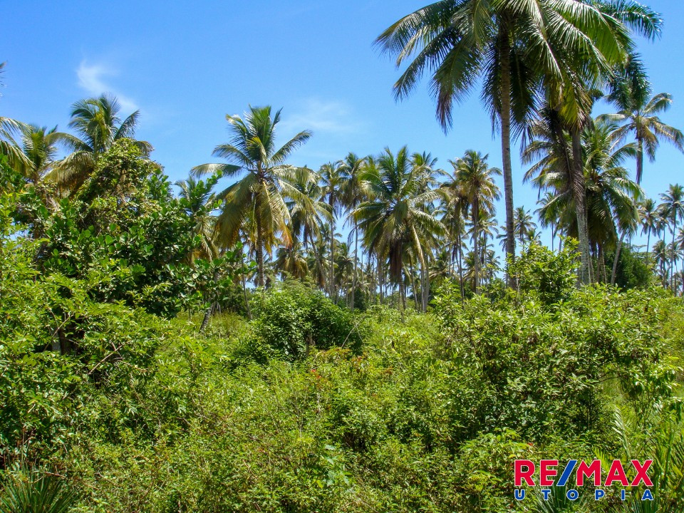 Property view 8