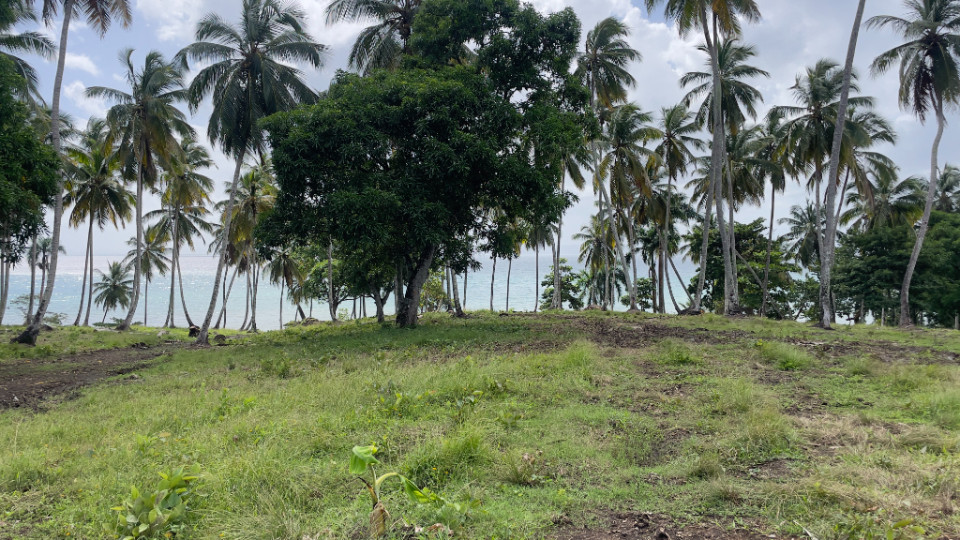 Property view 5