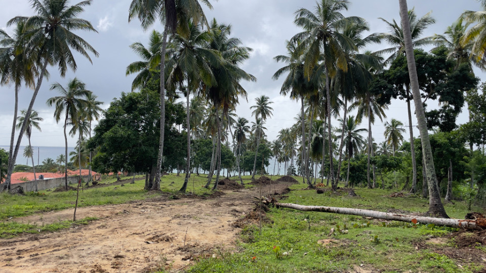 Property view 6