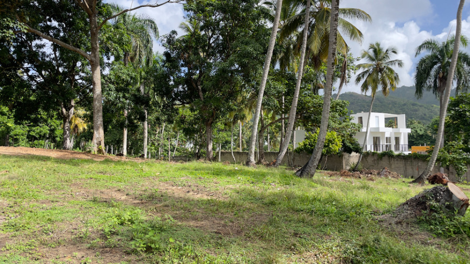 Property view 7