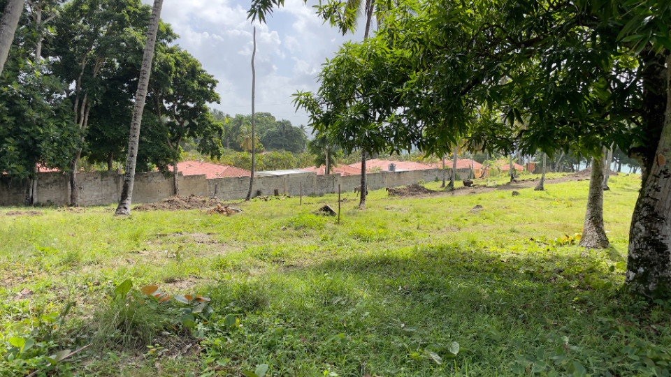Property view 8