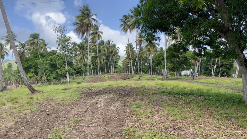 Property view 9