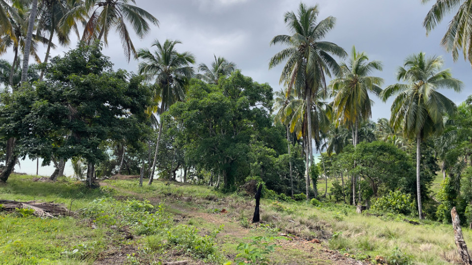 Property view 10