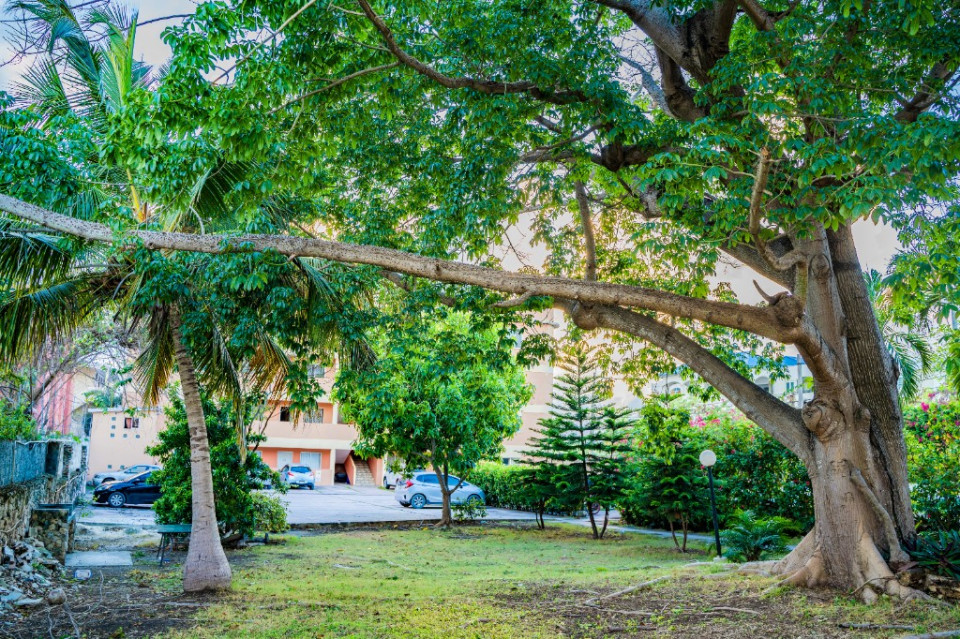 Property view 9