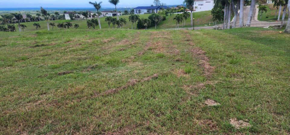 Property view 3