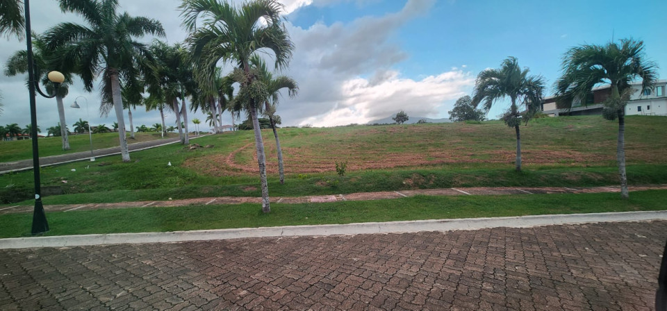 Property view 6