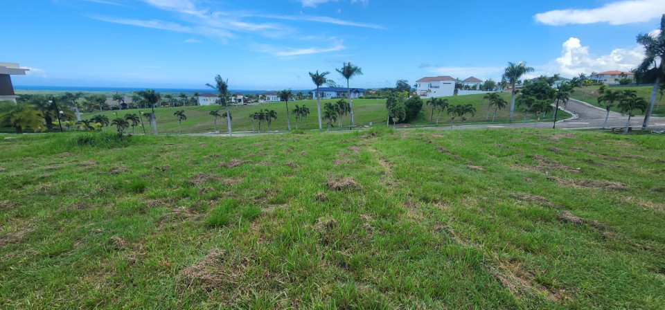 Property view 3