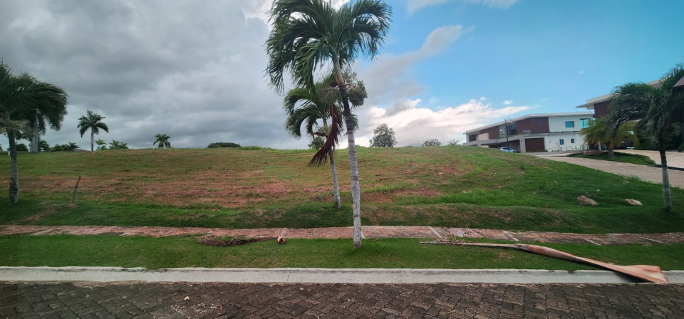 Property view 4