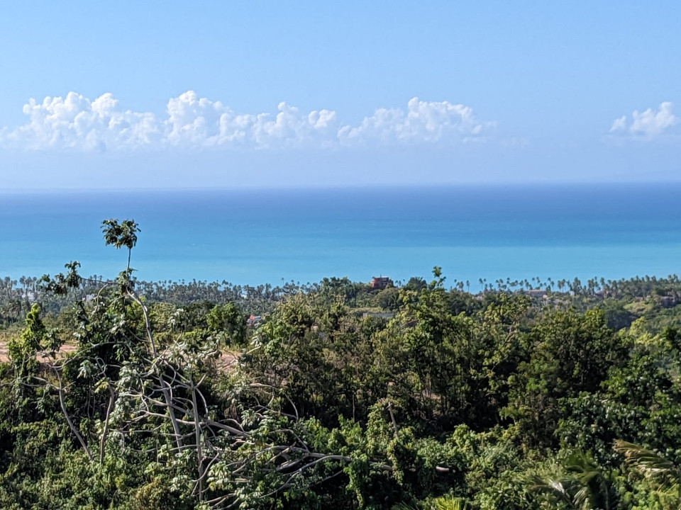 Property view 4