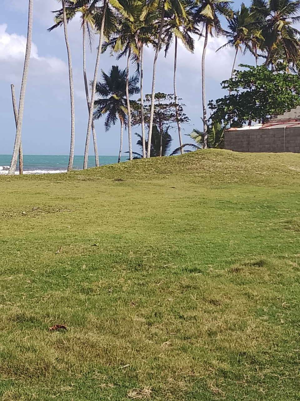 Property view 4