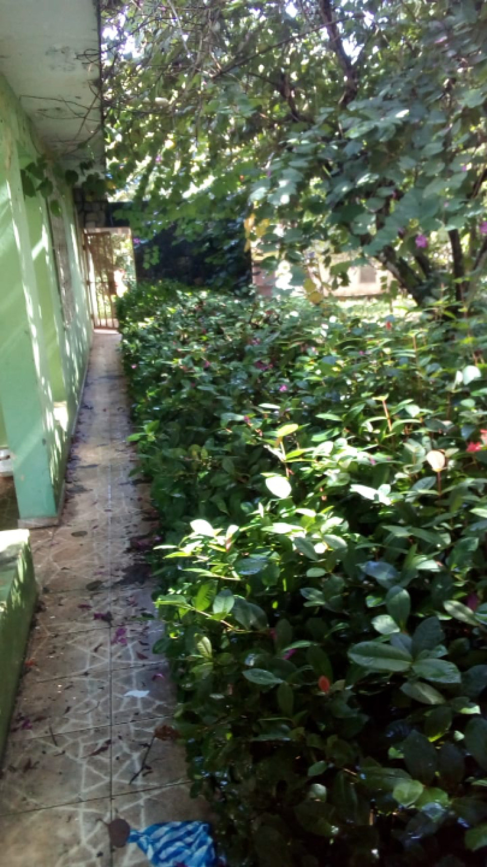 Property view 3