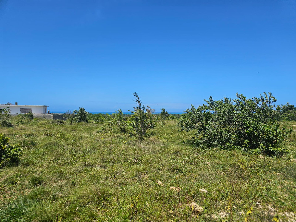 Property view 4