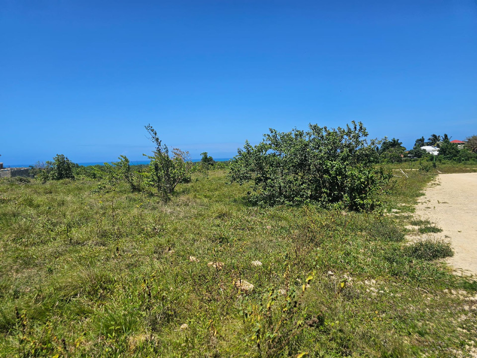Property view 6