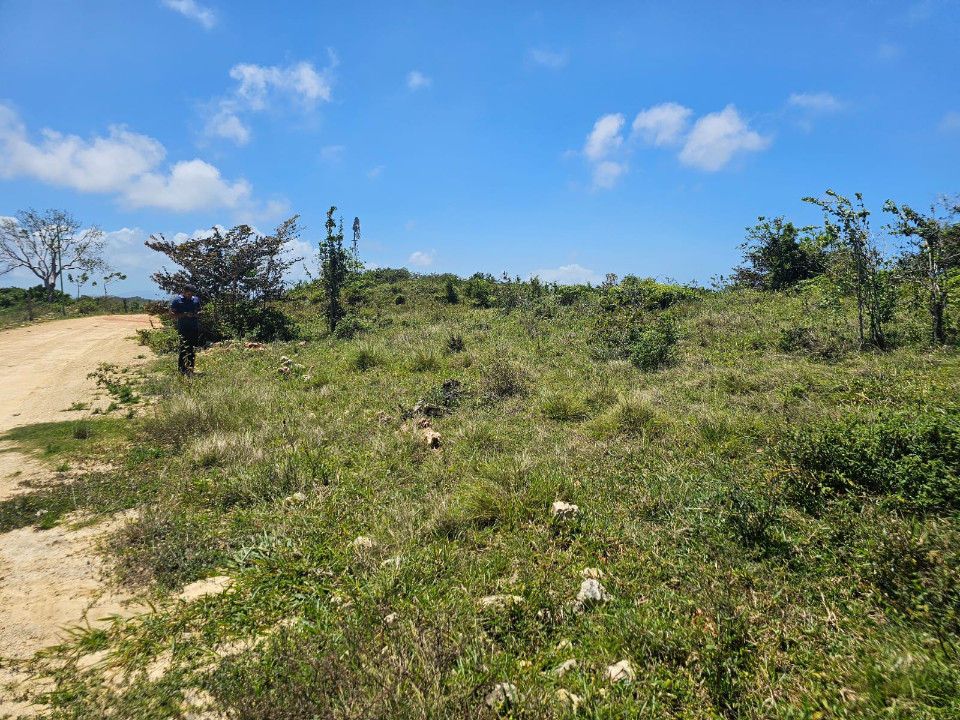 Property view 5