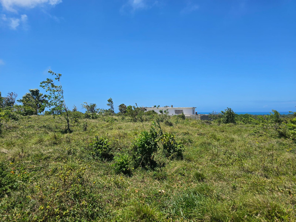 Property view 8