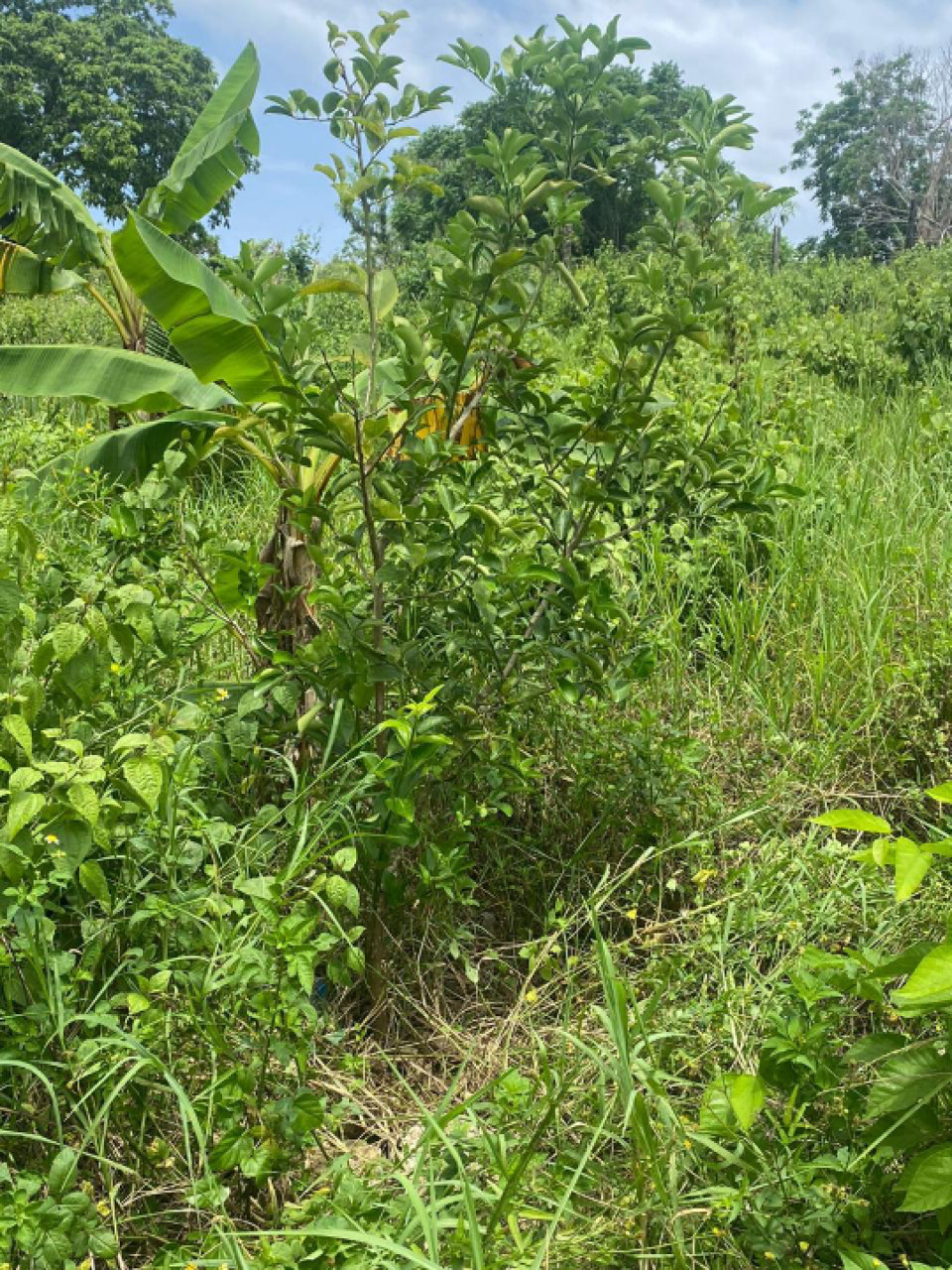 Property view 3