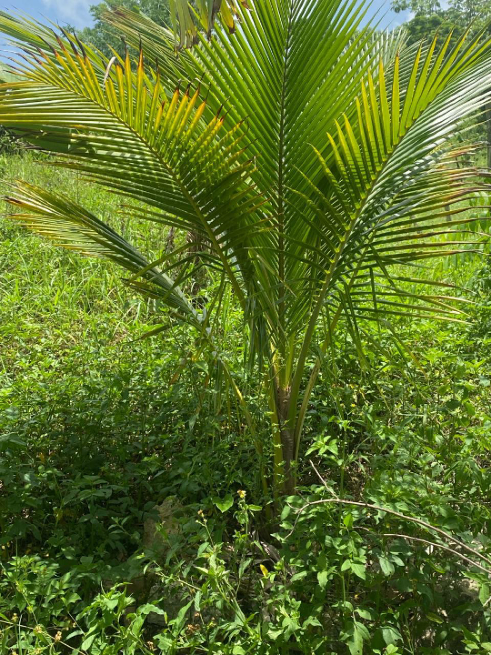 Property view 5