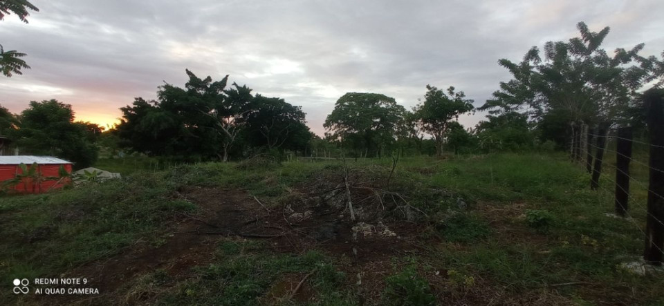 Property view 6