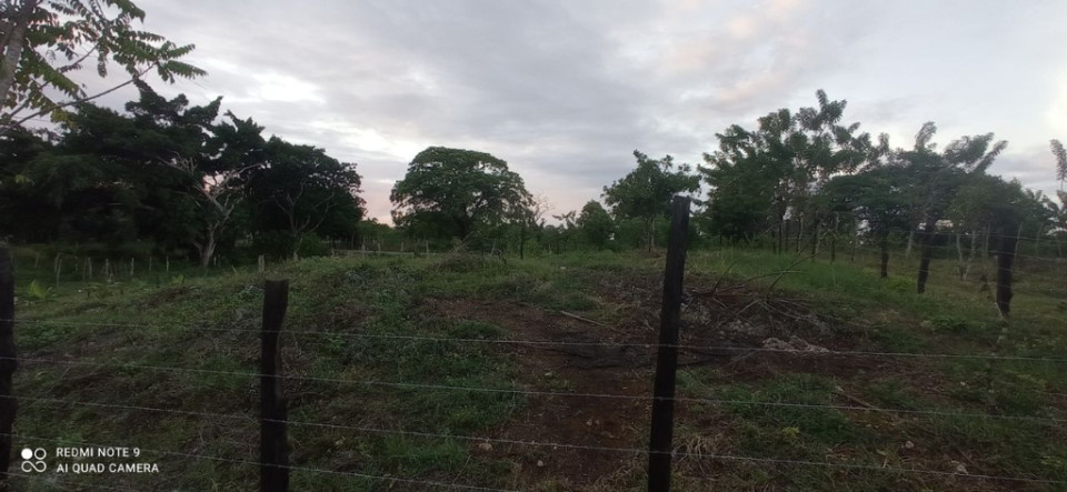 Property view 7