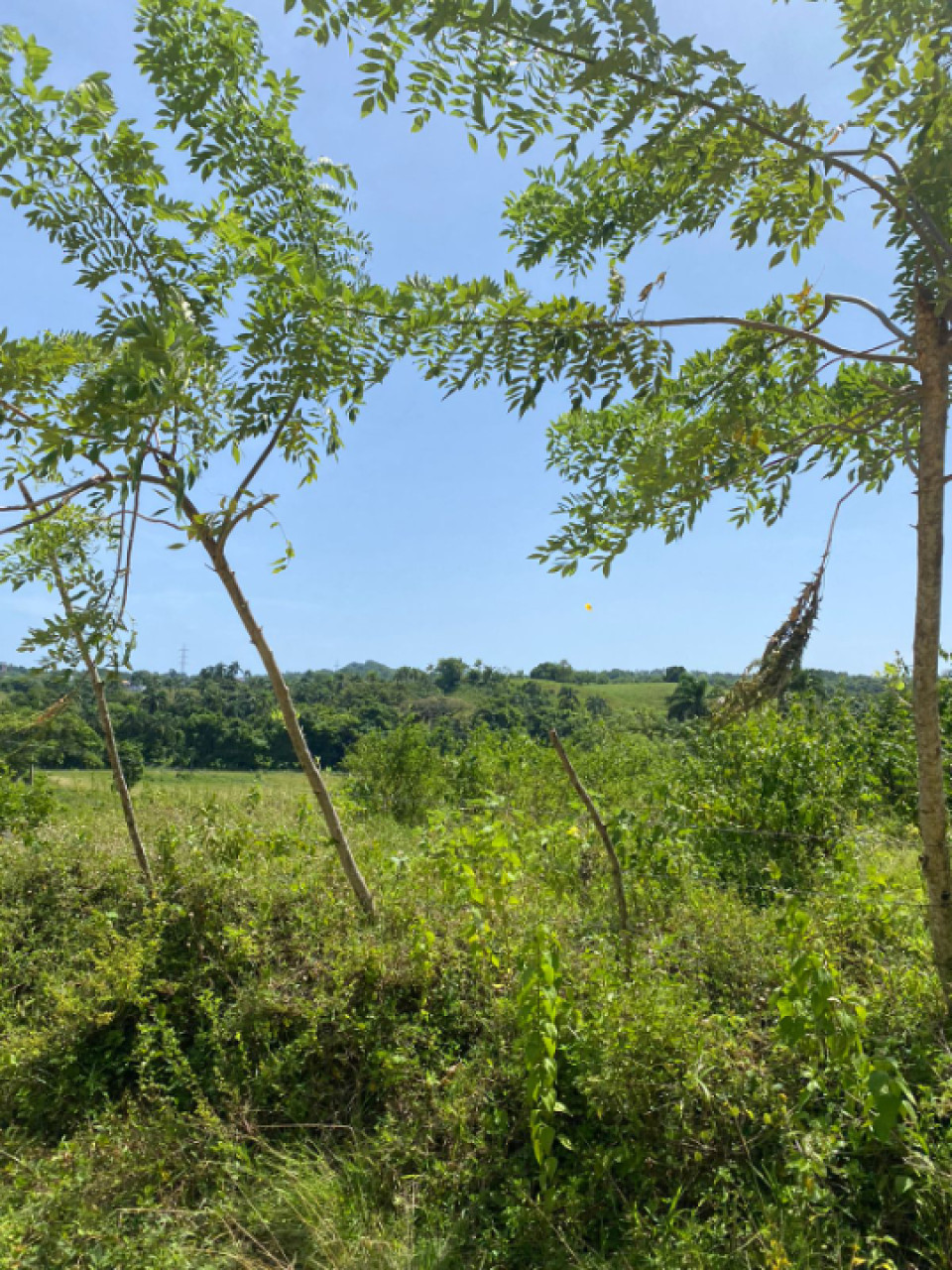 Property view 2