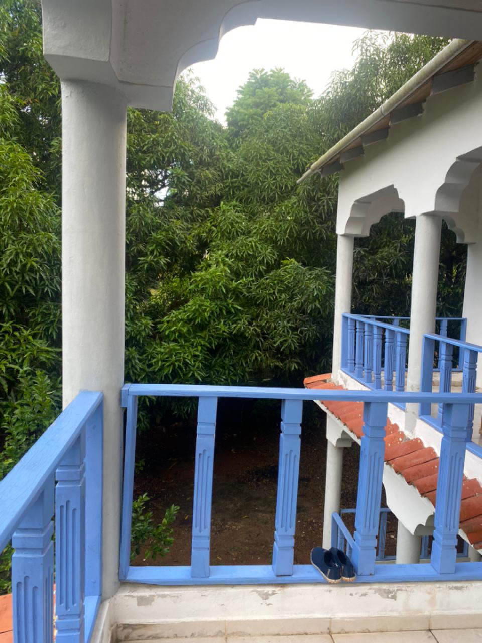 Property view 15