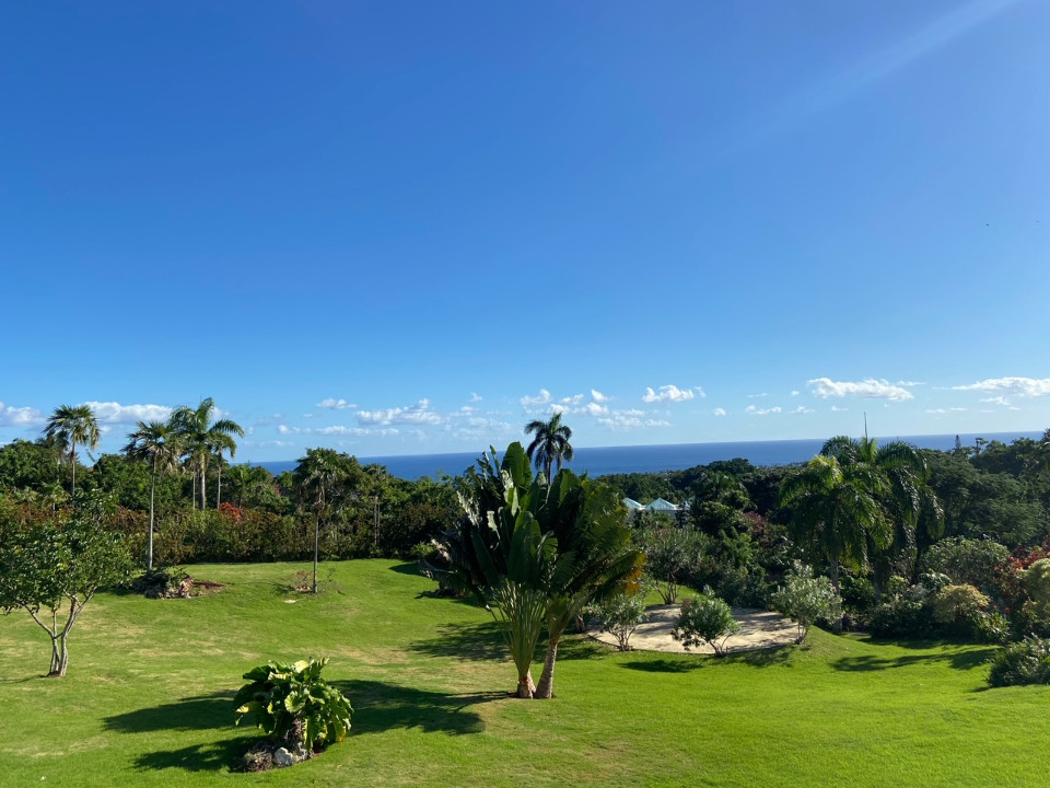 Property view 11