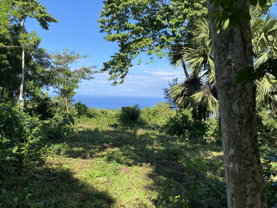 Property view 3