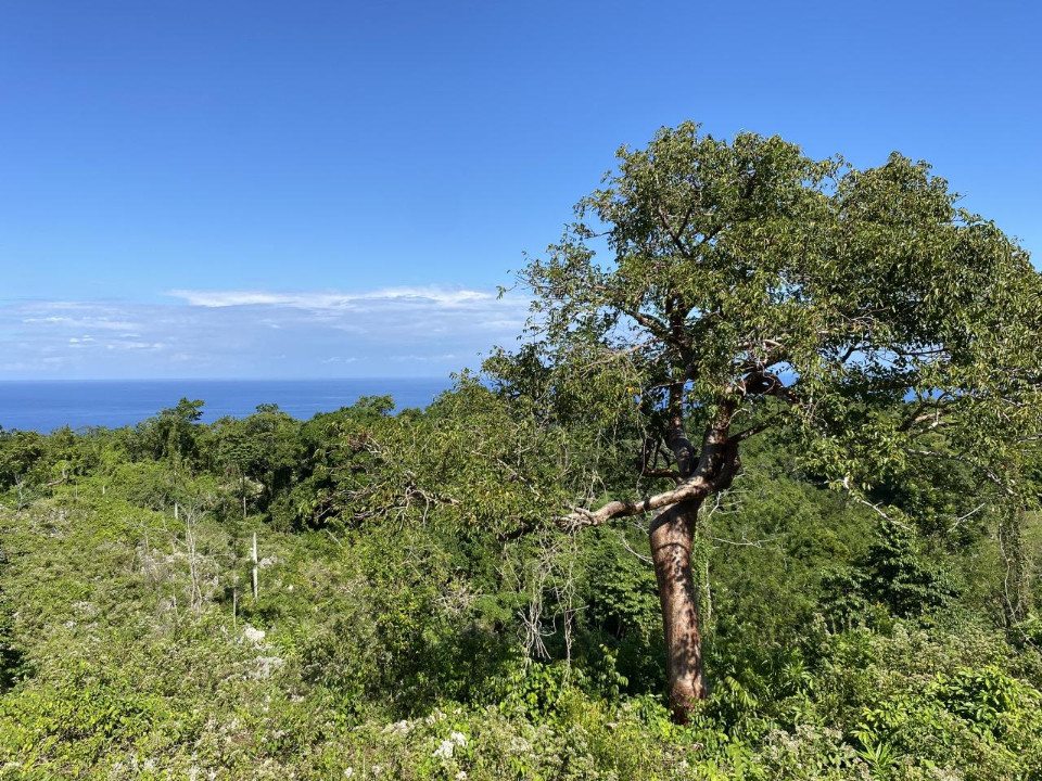 Property view 5